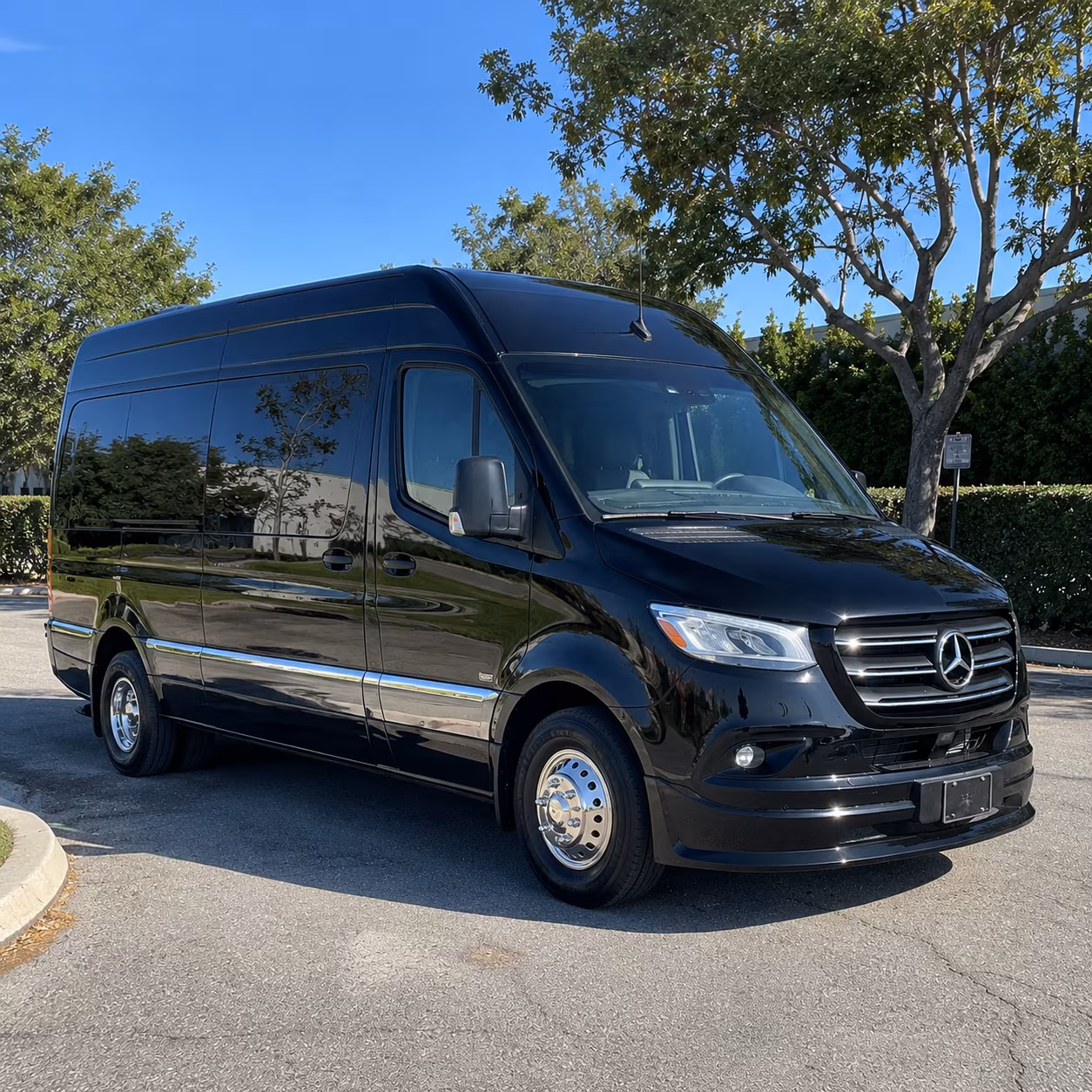 find the perfect transportation for your next birthday 5